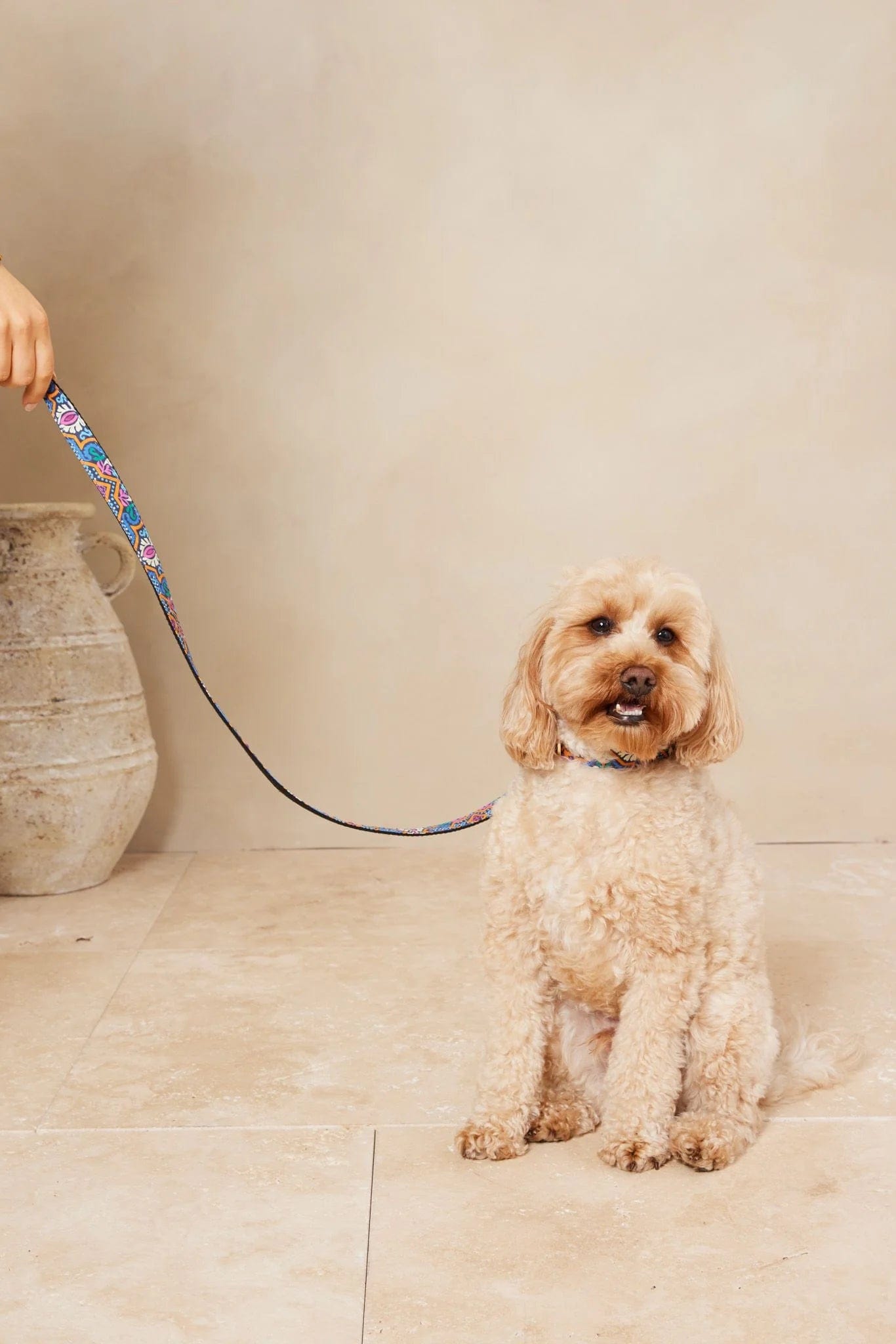 Dog Collar And Lead - Azalia Resort