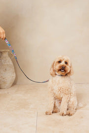 Dog Collar And Lead - Azalia Resort