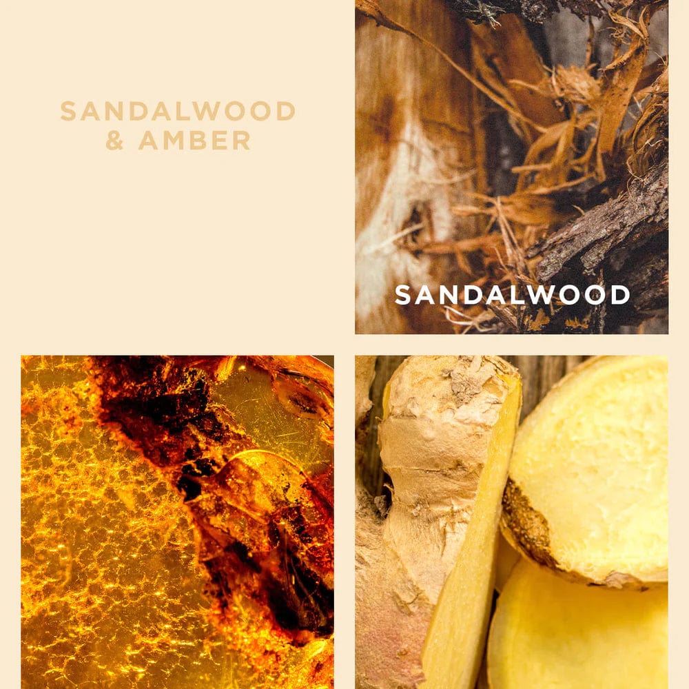 Sandalwood & Amber Luxe Body Gift Set Holiday Collection