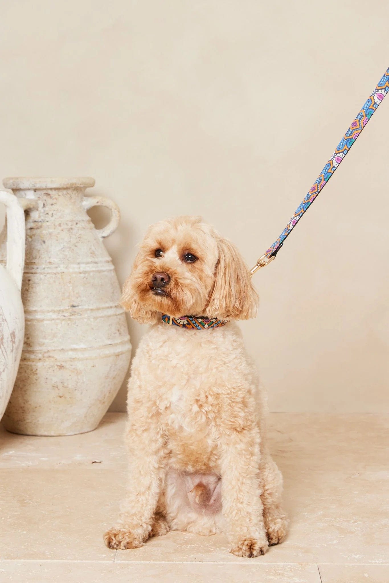 Dog Collar And Lead - Azalia Resort