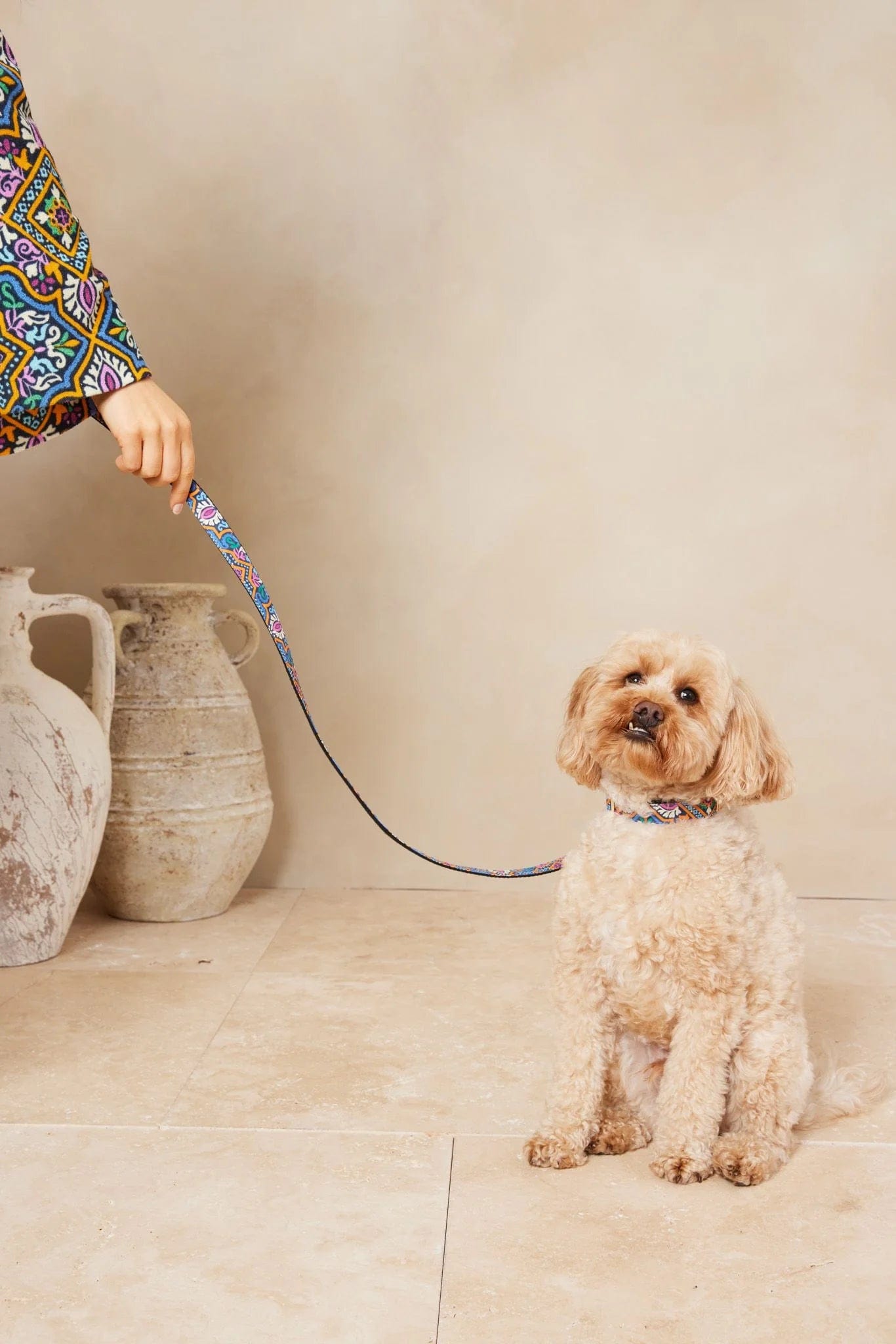 Dog Collar And Lead - Azalia Resort